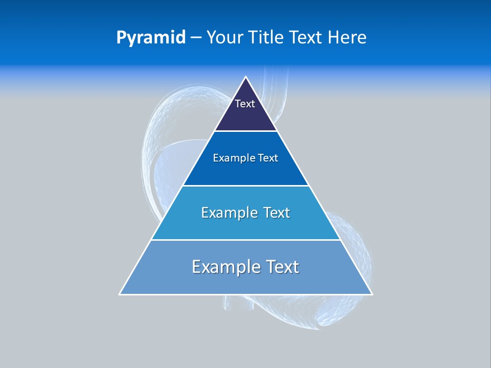Illustration Texture Anatomy PowerPoint Template