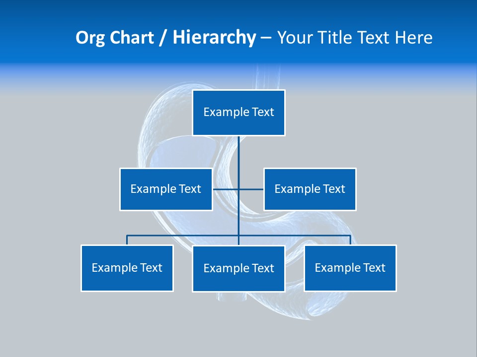 Illustration Texture Anatomy PowerPoint Template