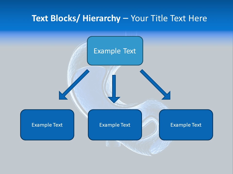 Illustration Texture Anatomy PowerPoint Template