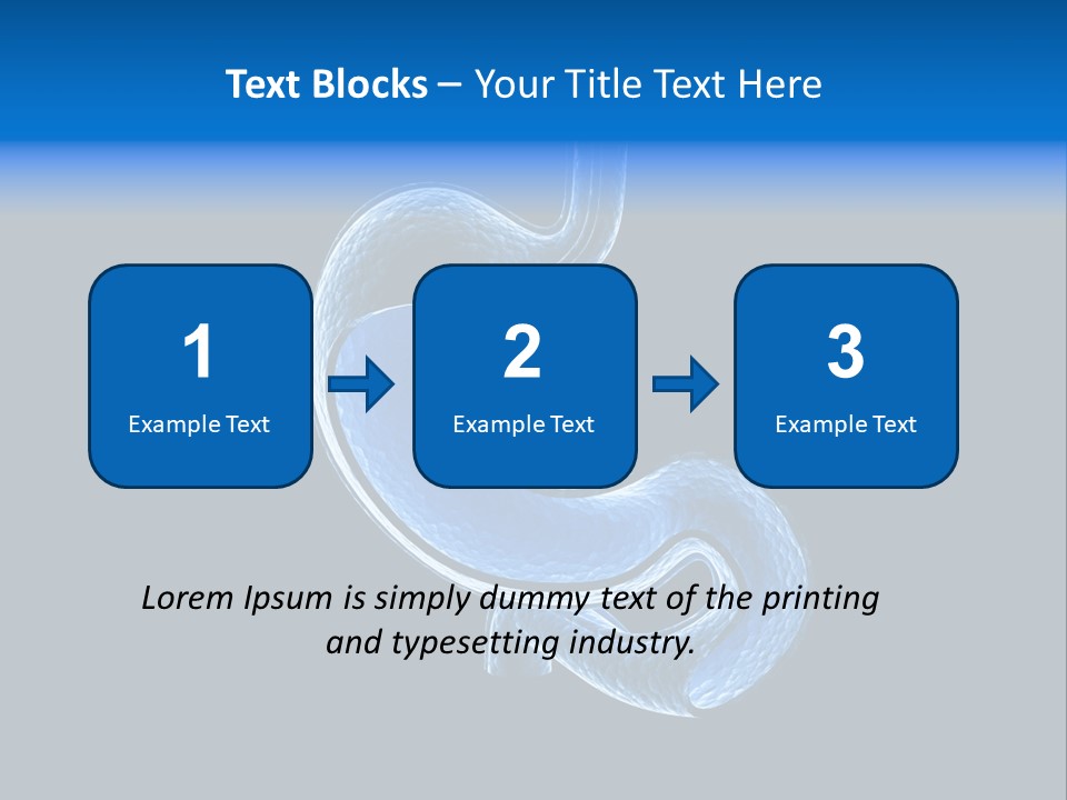 Illustration Texture Anatomy PowerPoint Template