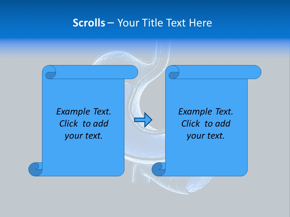 Illustration Texture Anatomy PowerPoint Template