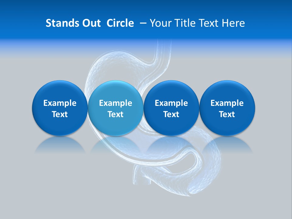 Illustration Texture Anatomy PowerPoint Template