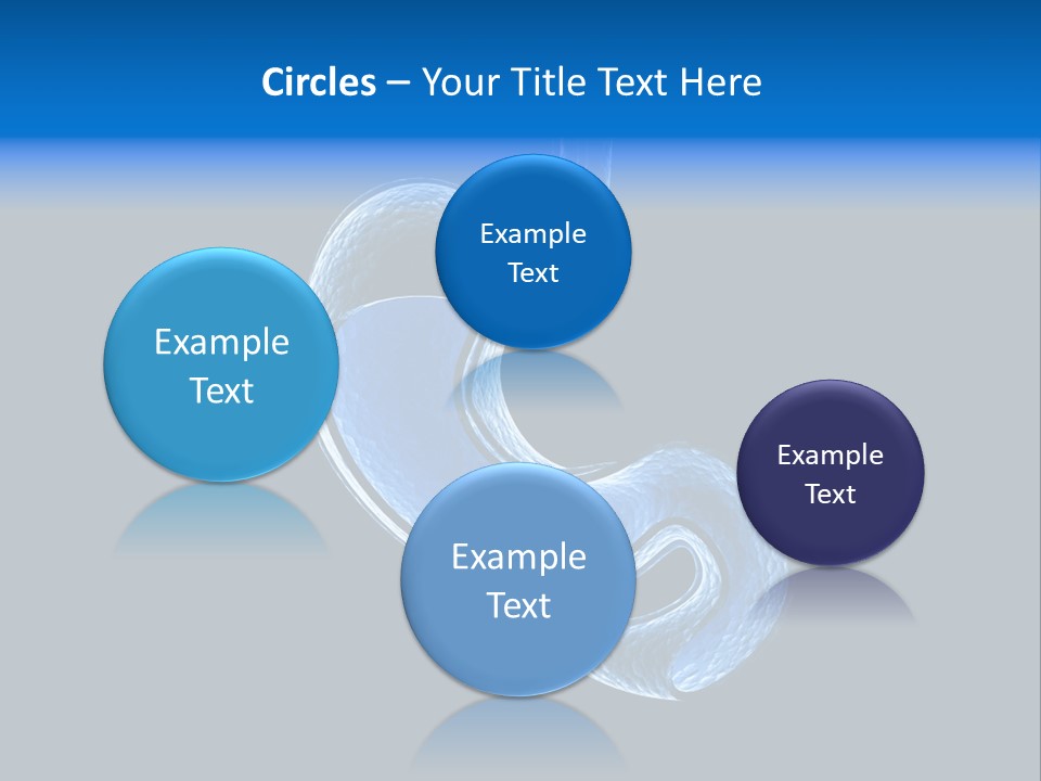 Illustration Texture Anatomy PowerPoint Template
