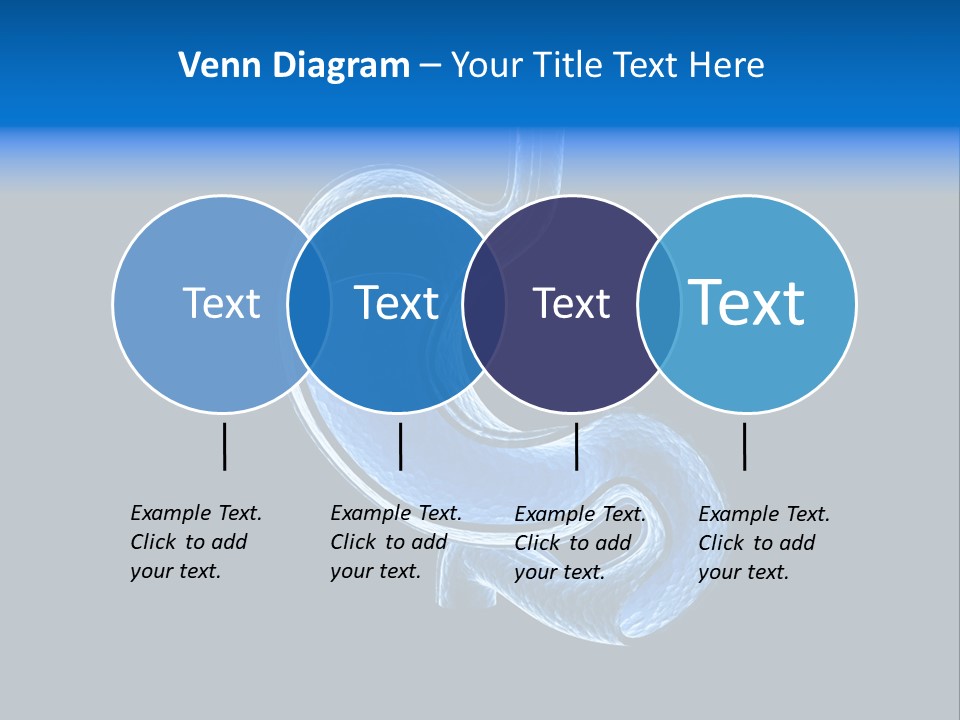 Illustration Texture Anatomy PowerPoint Template