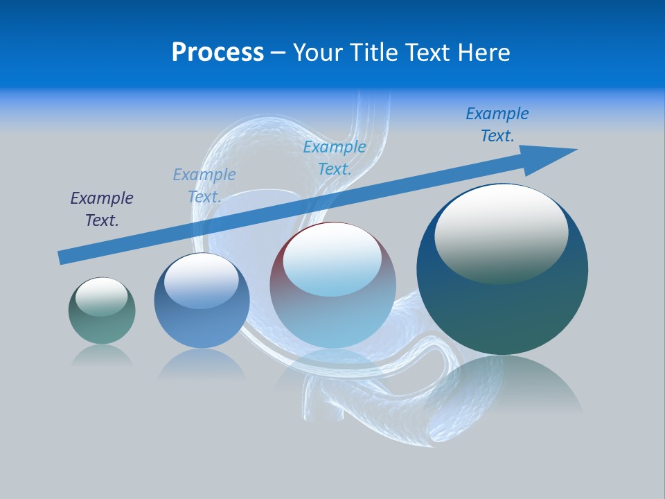 Illustration Texture Anatomy PowerPoint Template