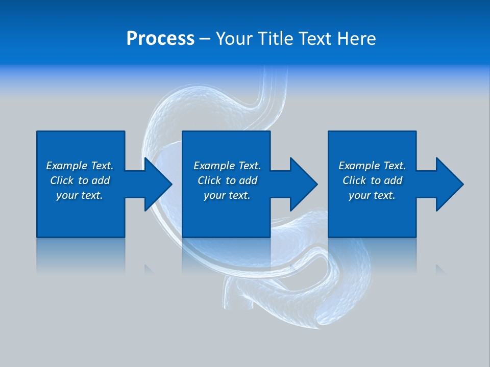 Illustration Texture Anatomy PowerPoint Template
