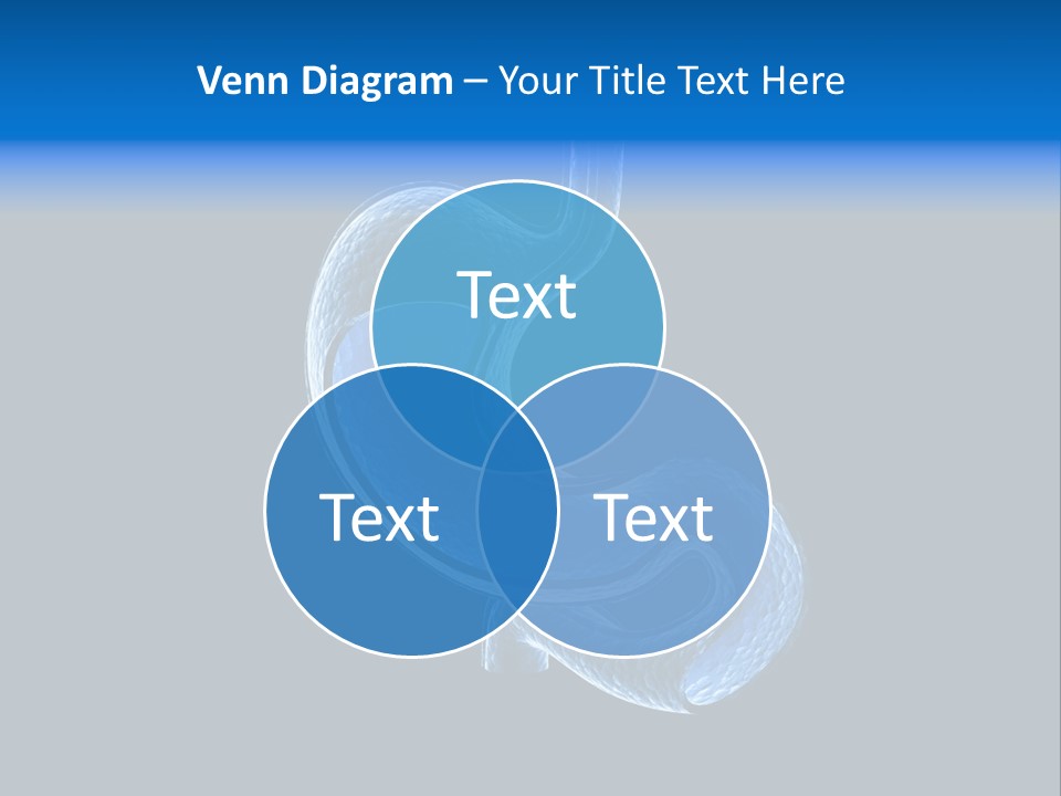 Illustration Texture Anatomy PowerPoint Template