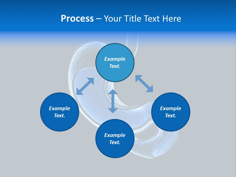 Illustration Texture Anatomy PowerPoint Template