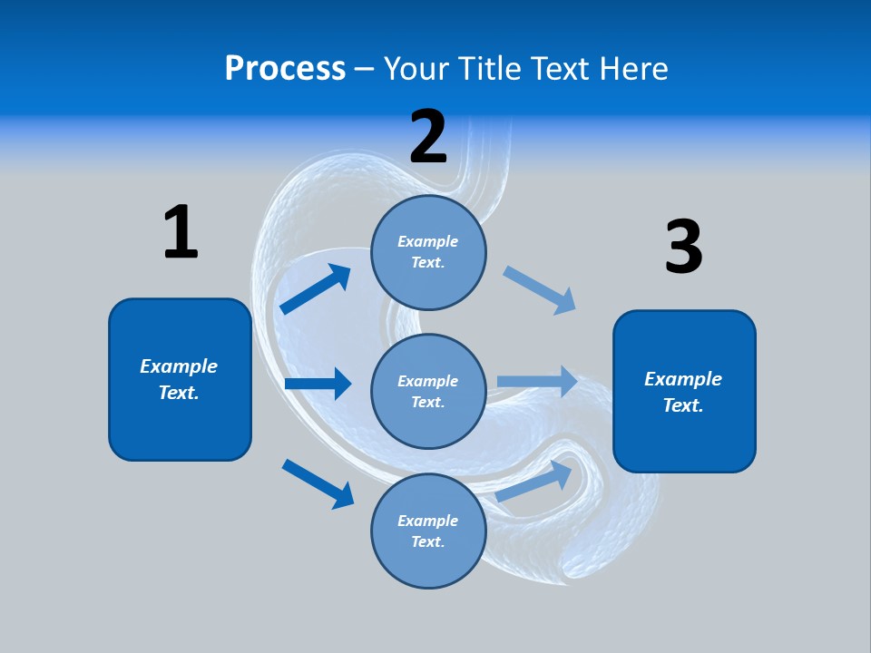 Illustration Texture Anatomy PowerPoint Template