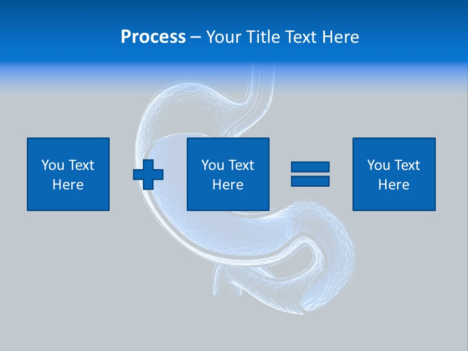 Illustration Texture Anatomy PowerPoint Template