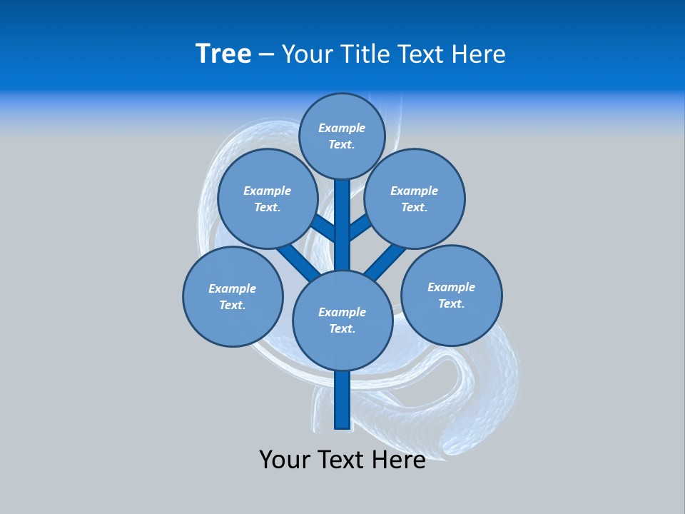 Illustration Texture Anatomy PowerPoint Template