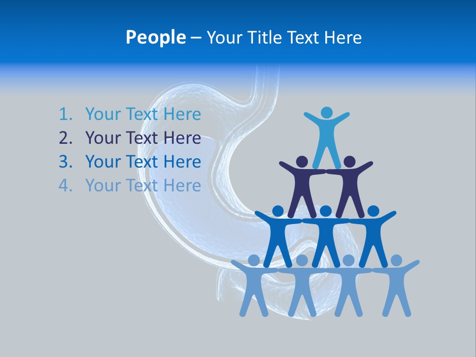 Illustration Texture Anatomy PowerPoint Template