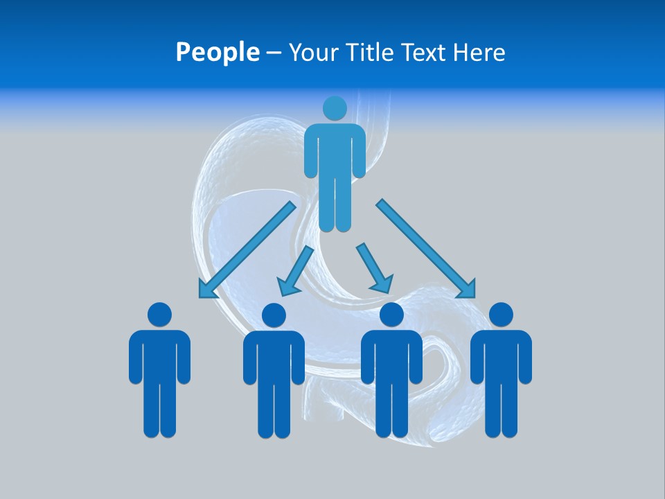 Illustration Texture Anatomy PowerPoint Template