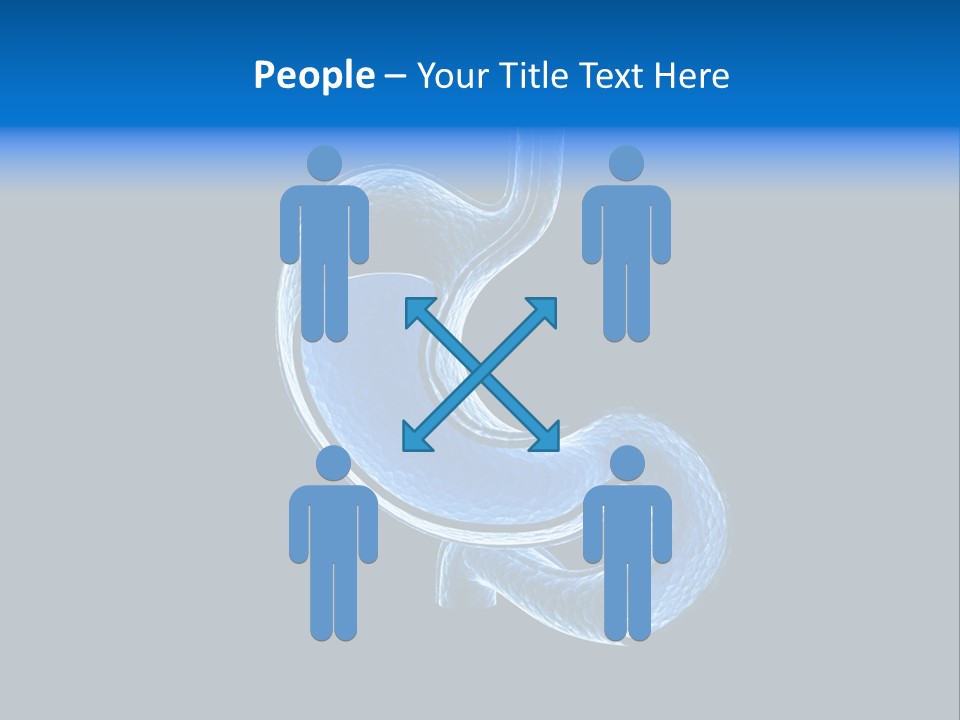 Illustration Texture Anatomy PowerPoint Template