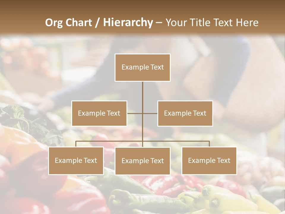 Caucasian Choose Choosing PowerPoint Template