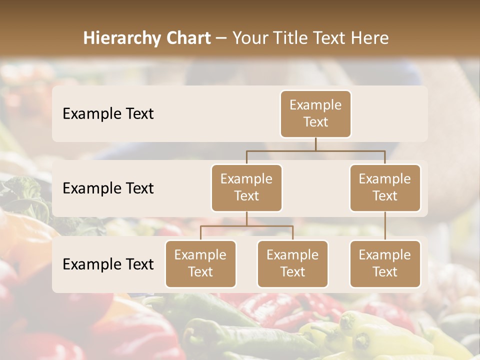 Caucasian Choose Choosing PowerPoint Template