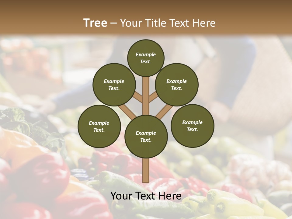 Caucasian Choose Choosing PowerPoint Template