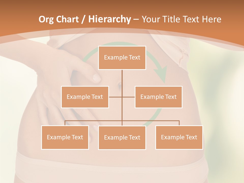 Loss Belly Abdomen PowerPoint Template