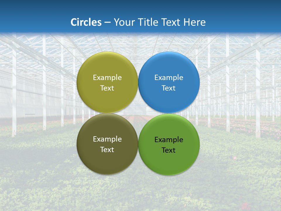 Sell Farm Greenhouse PowerPoint Template