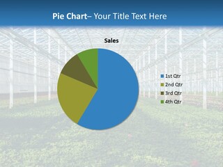 Sell Farm Greenhouse PowerPoint Template