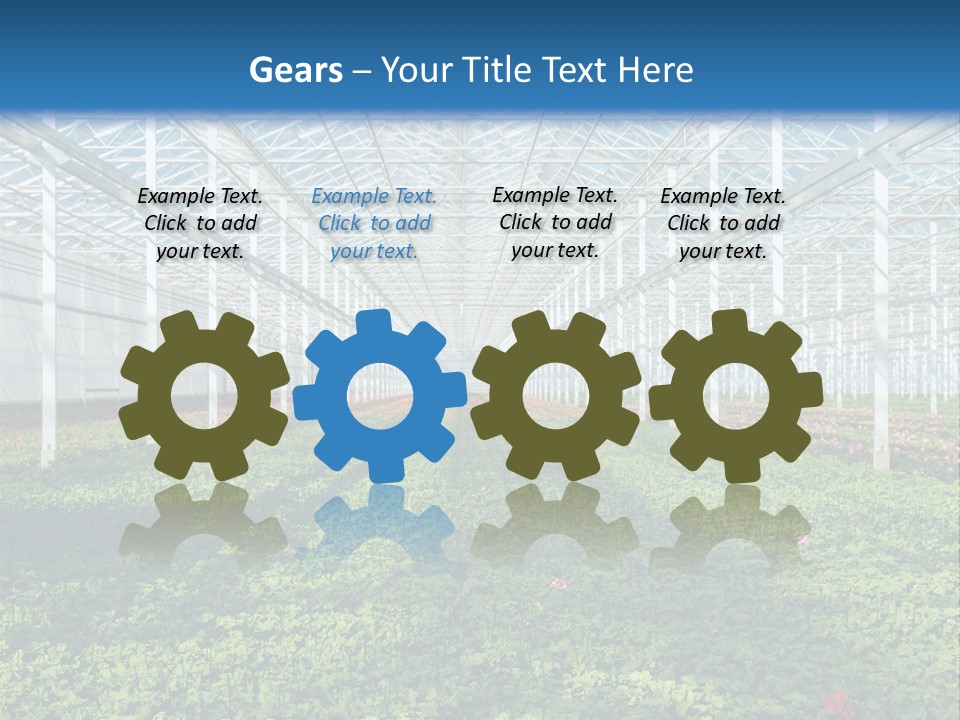 Sell Farm Greenhouse PowerPoint Template