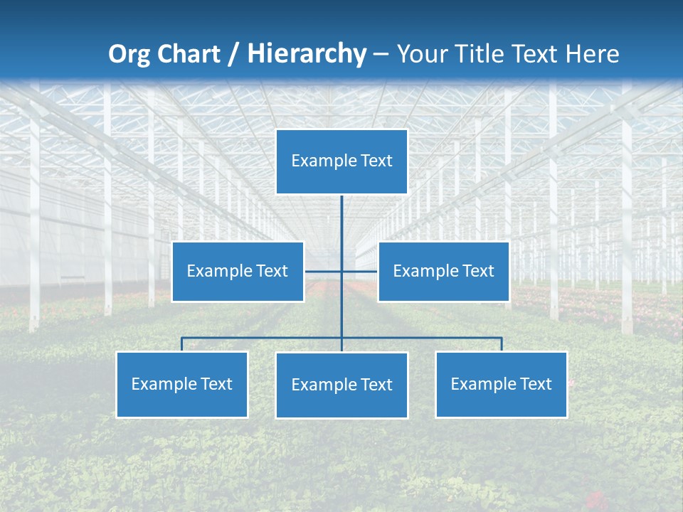 Sell Farm Greenhouse PowerPoint Template