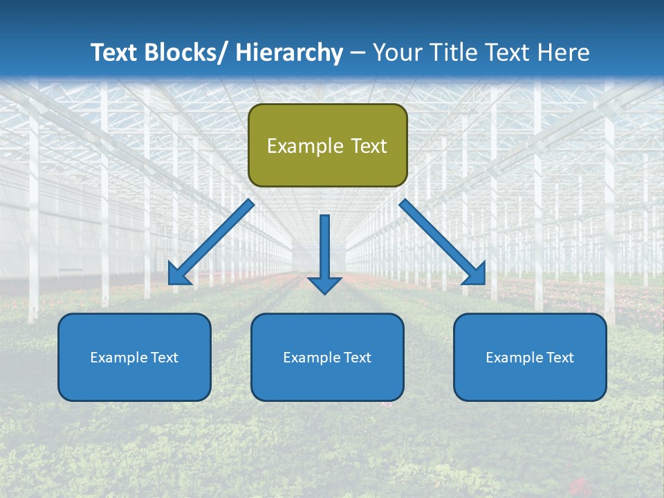 Sell Farm Greenhouse PowerPoint Template