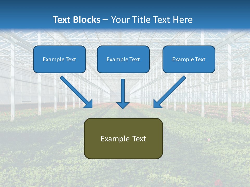 Sell Farm Greenhouse PowerPoint Template