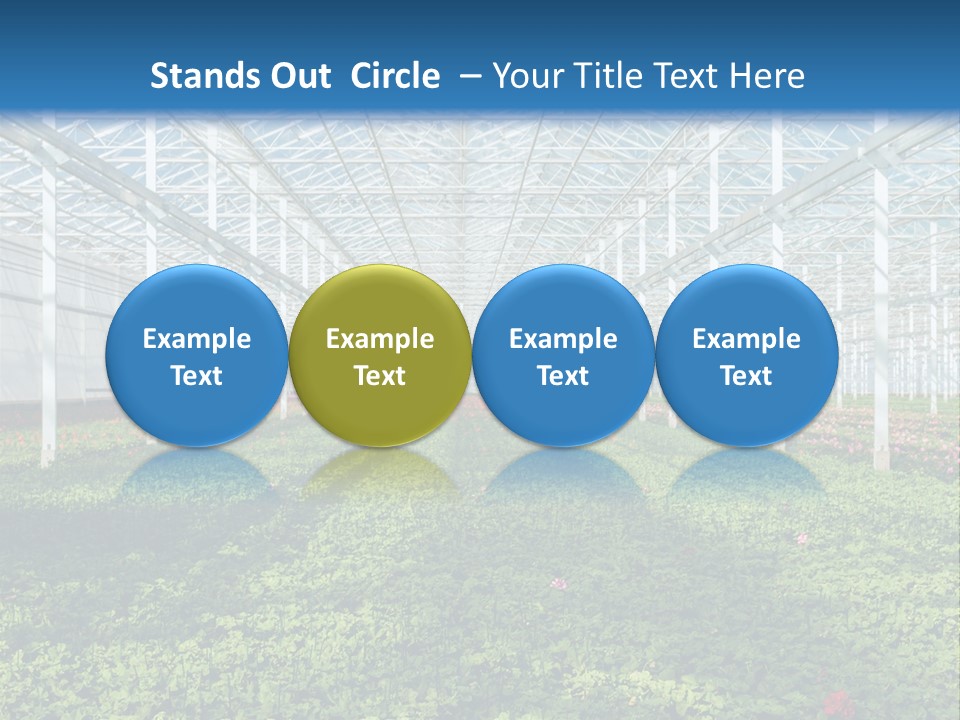 Sell Farm Greenhouse PowerPoint Template