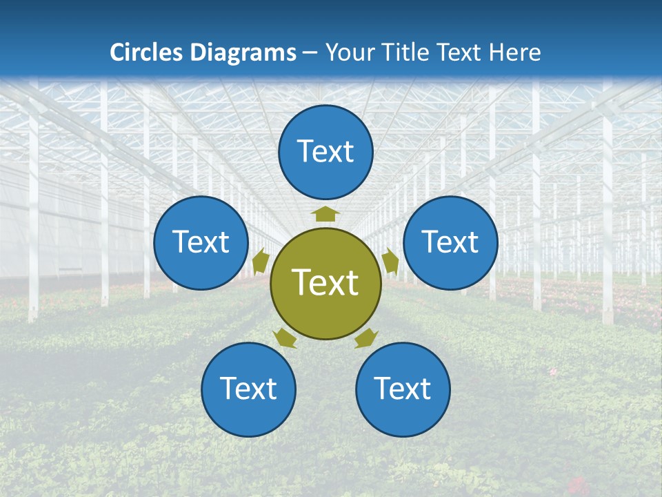 Sell Farm Greenhouse PowerPoint Template