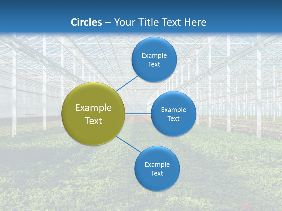 Sell Farm Greenhouse PowerPoint Template