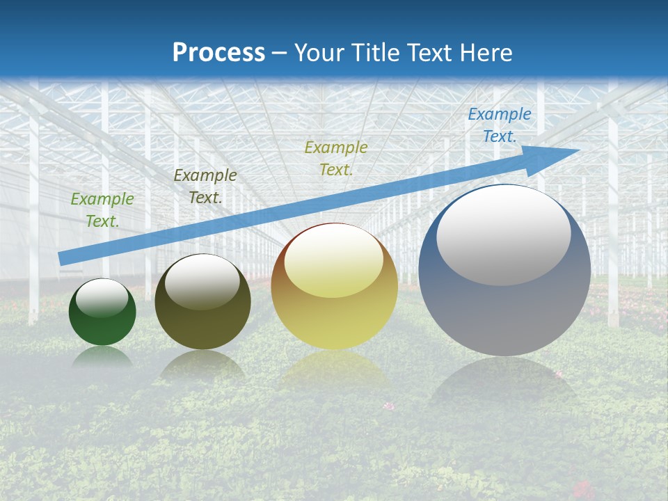 Sell Farm Greenhouse PowerPoint Template
