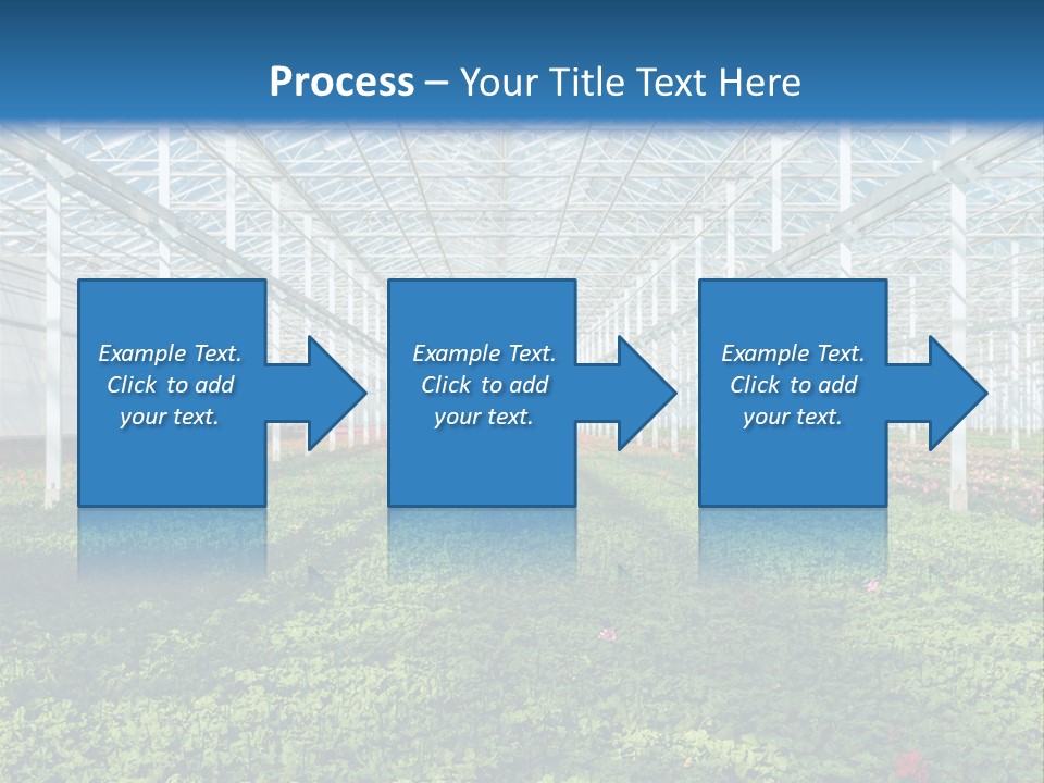 Sell Farm Greenhouse PowerPoint Template