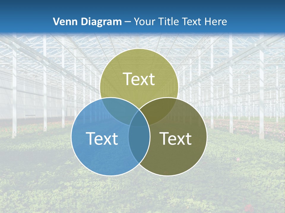 Sell Farm Greenhouse PowerPoint Template