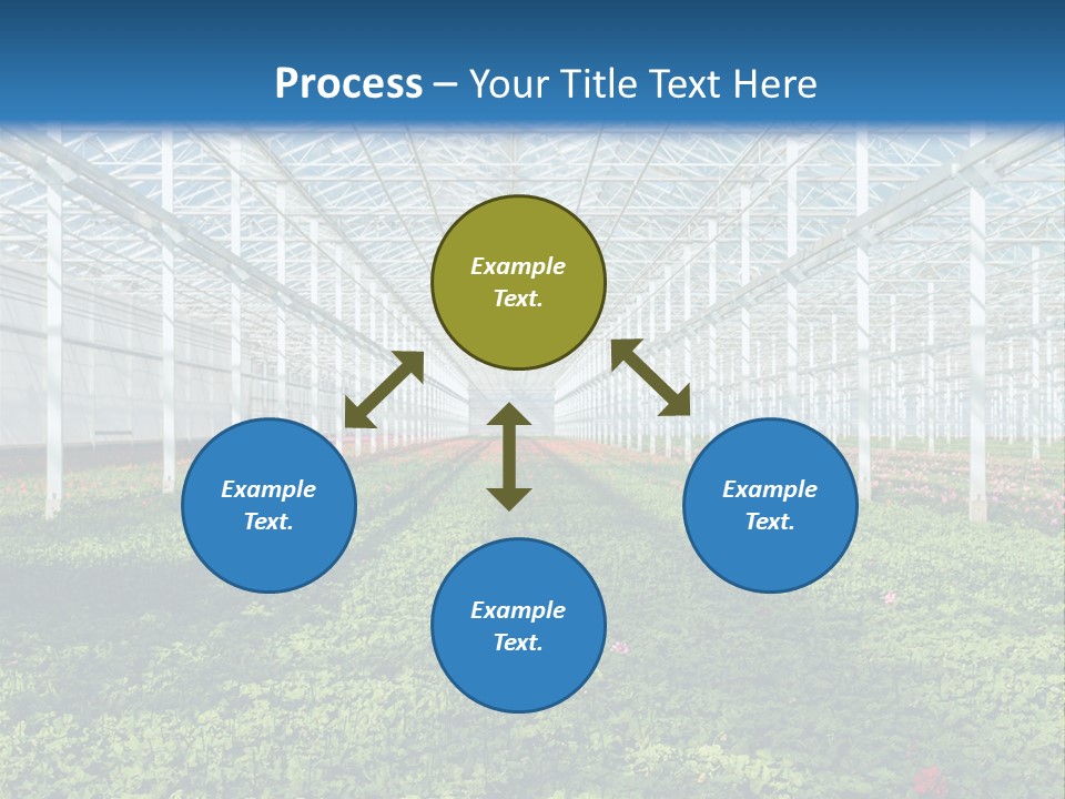 Sell Farm Greenhouse PowerPoint Template