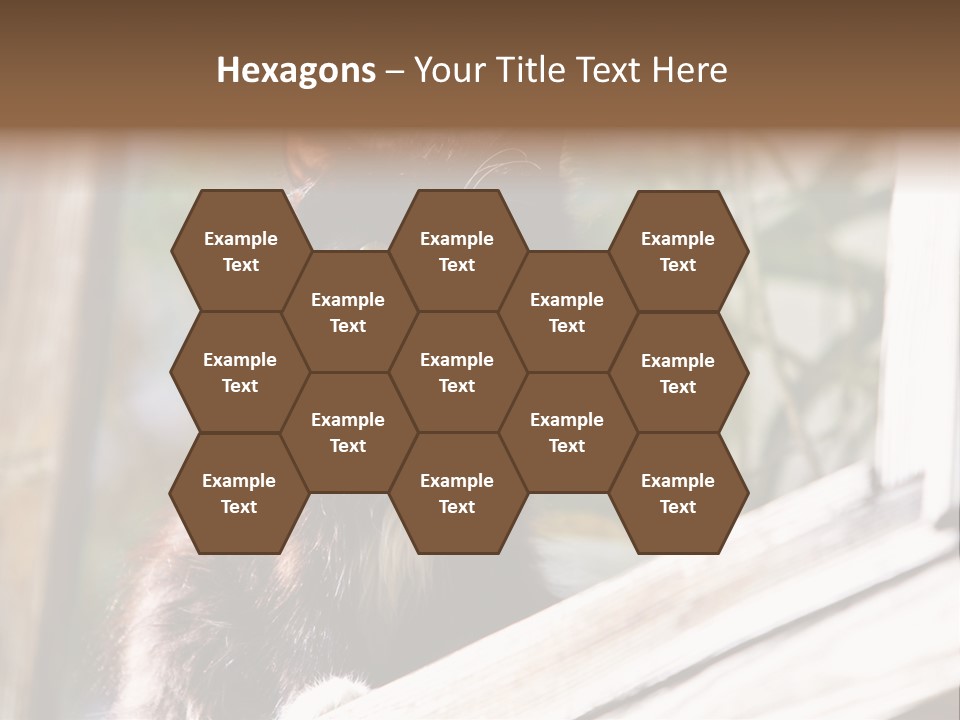 Beast House Visit PowerPoint Template