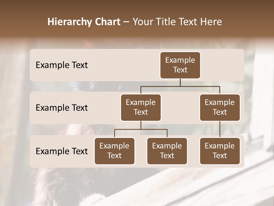 Beast House Visit PowerPoint Template