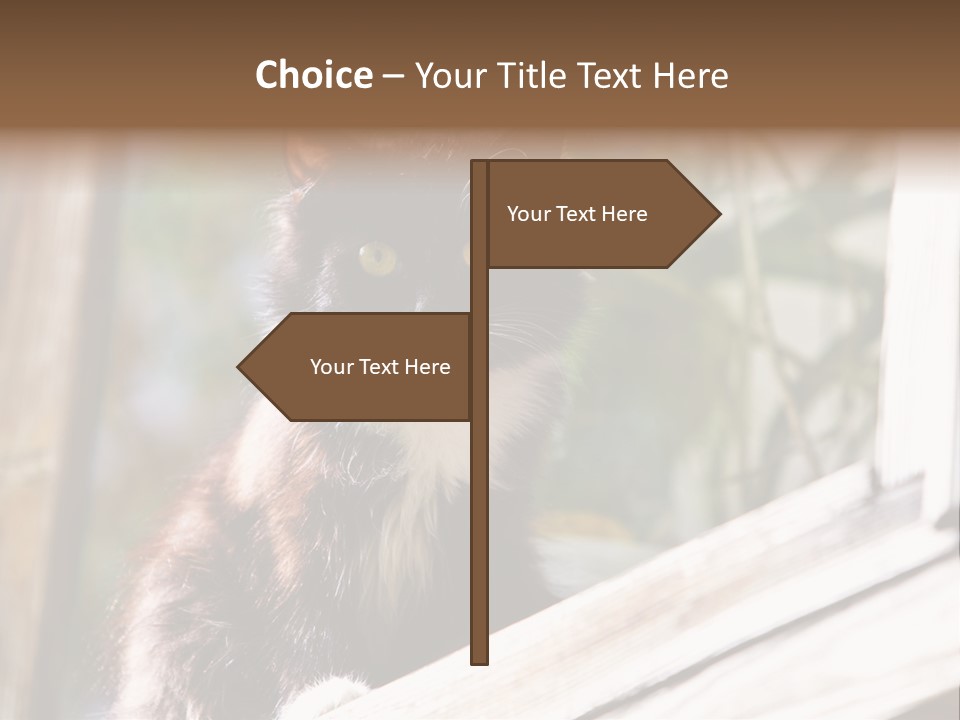 Beast House Visit PowerPoint Template