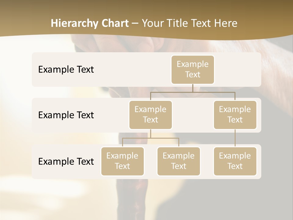 Disabled Selective Focus Wrinkled PowerPoint Template