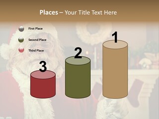 Mischief Party Alcohol PowerPoint Template