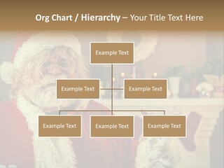 Mischief Party Alcohol PowerPoint Template