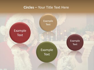 Mischief Party Alcohol PowerPoint Template