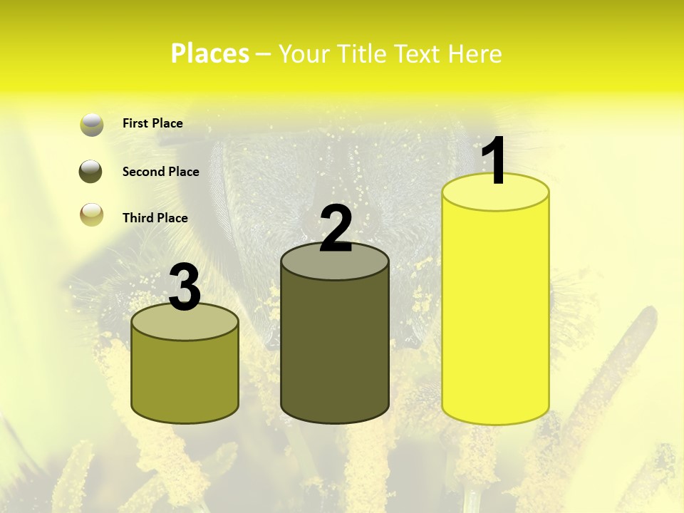 Arthropods Commonwealth Face PowerPoint Template