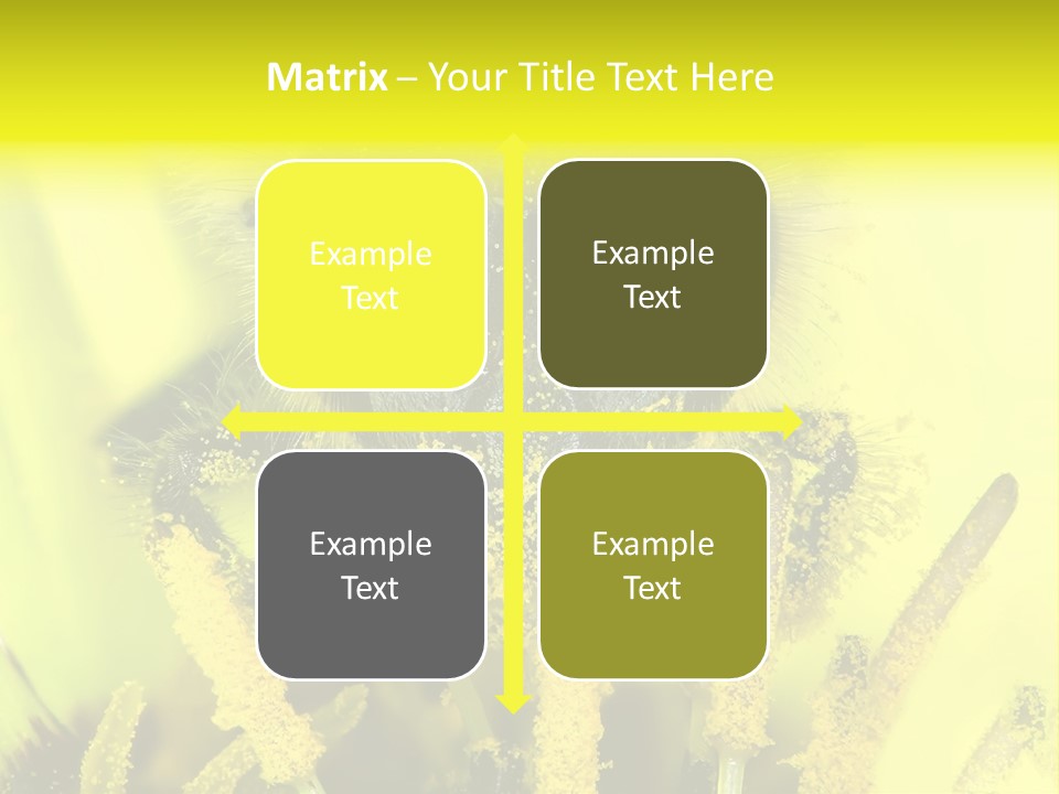 Arthropods Commonwealth Face PowerPoint Template