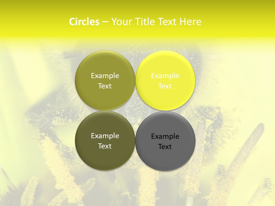 Arthropods Commonwealth Face PowerPoint Template