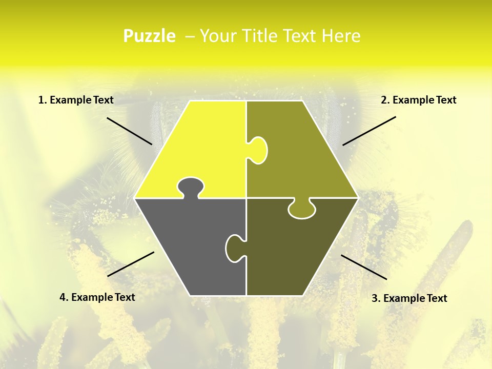 Arthropods Commonwealth Face PowerPoint Template