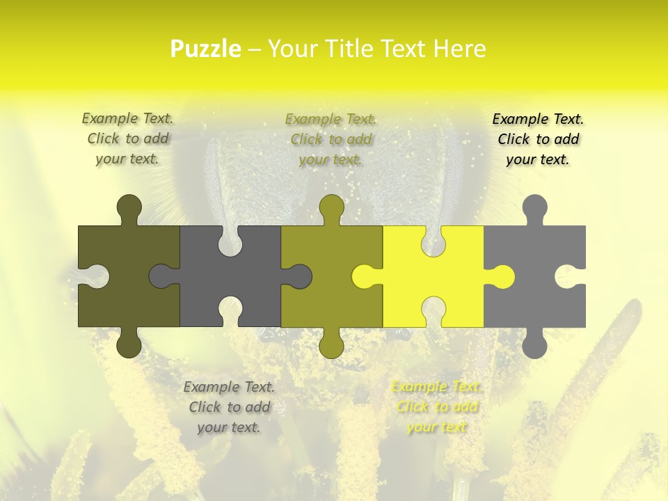 Arthropods Commonwealth Face PowerPoint Template