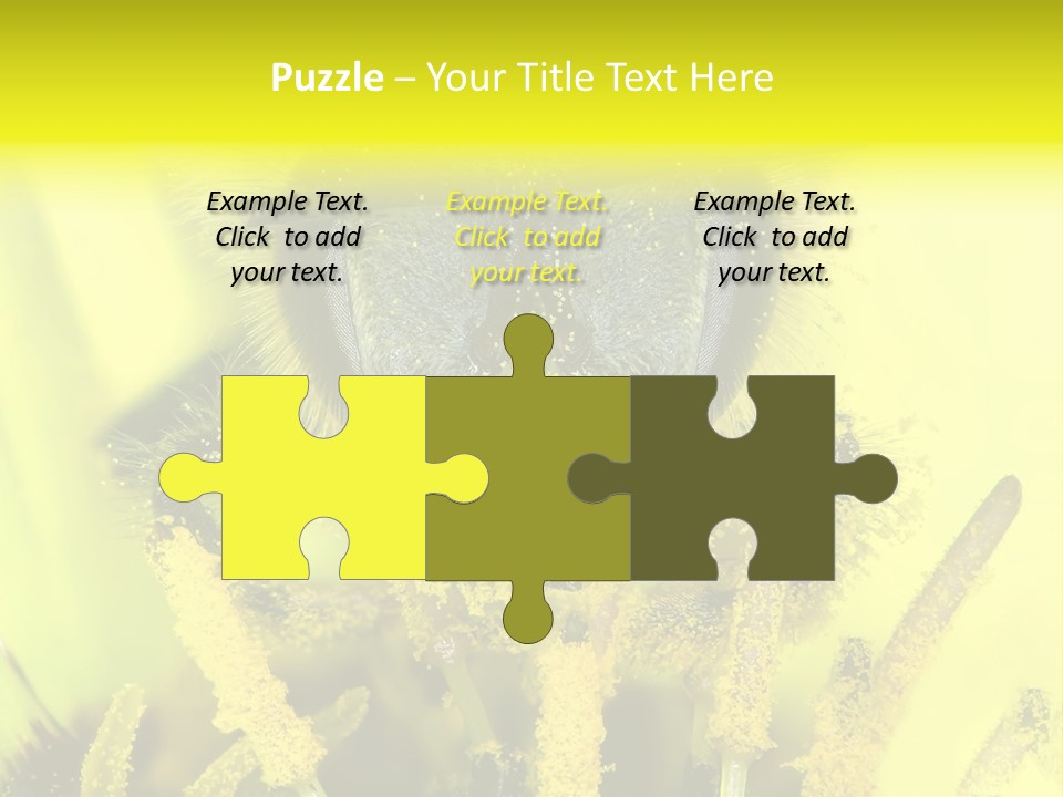 Arthropods Commonwealth Face PowerPoint Template