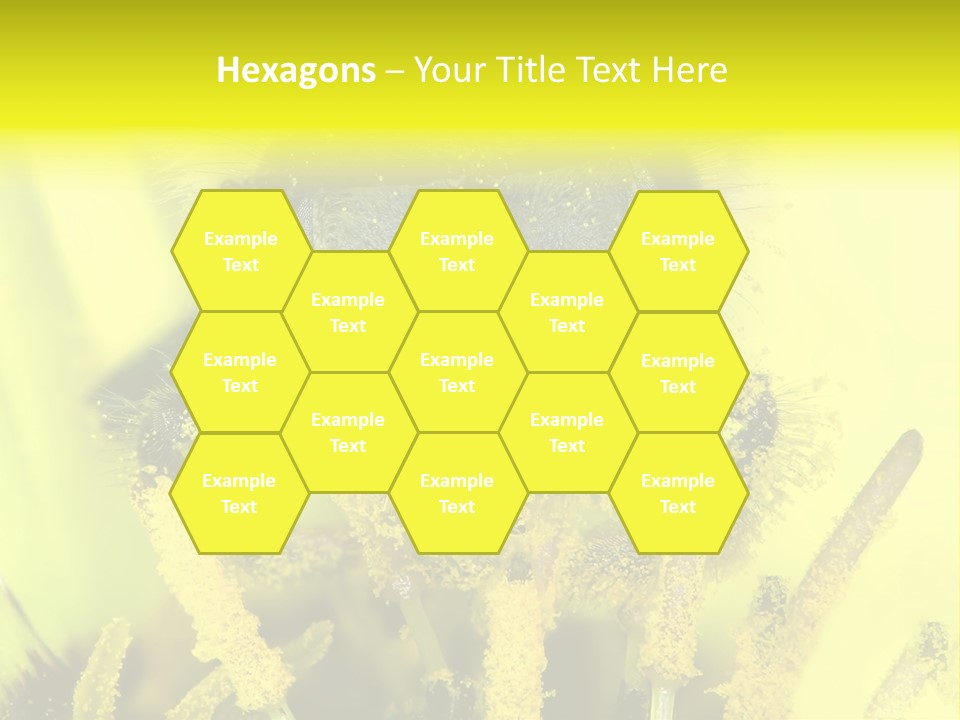 Arthropods Commonwealth Face PowerPoint Template