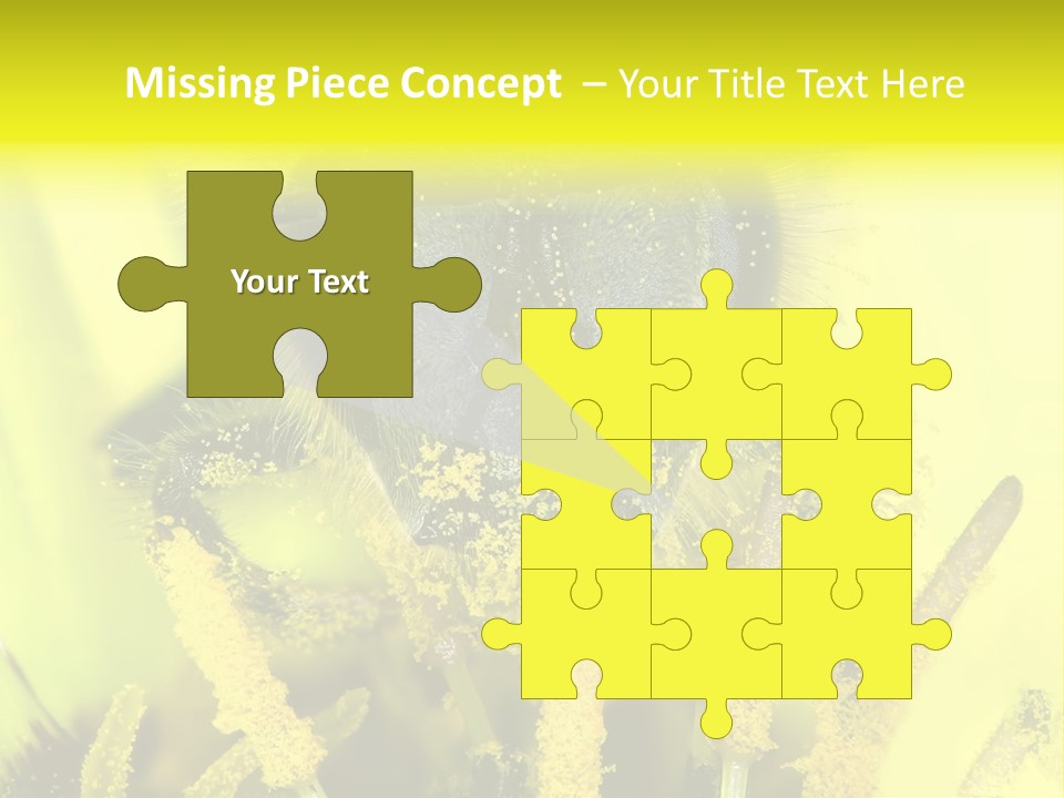 Arthropods Commonwealth Face PowerPoint Template